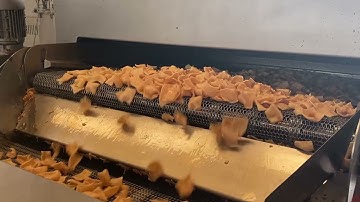 Continuous Oil Frying System-Pork Rinds