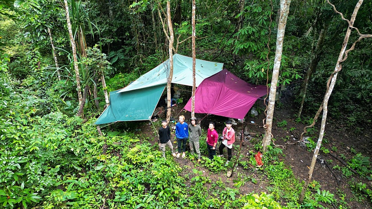 เข้าป่า กับ โจโฉ 4 วัน 3 คืน นอนป่าเจอพายุฝนทำอะไรไม่ได้เลย[ #ไอซ์เดินป่า ]