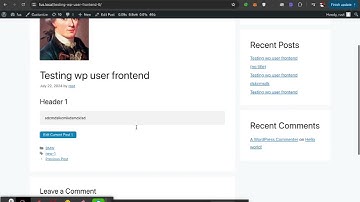 Allow Users to Submit Posts on Your WordPress Site - Guest Posting Tutorial
