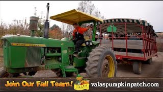 What It's Like Working at Vala's Fall Festival!