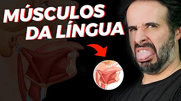 Como é a língua do ser humano?