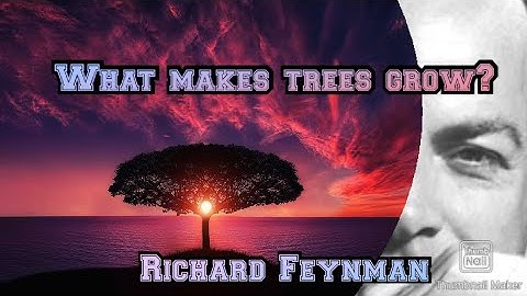 How Do Trees/Plants Grow: Conservation of Mass and Energy- Richard Feynman - Beautiful Minds #3