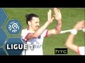 But Zlatan IBRAHIMOVIC (88') / ESTAC Troyes - Paris Saint-Germain (0-9) -  / 2015-16