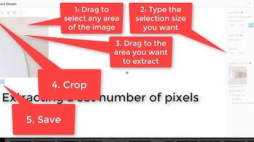 Reshaping and Resizing Images in the WordPress Media Library