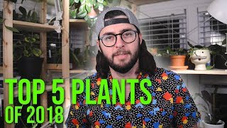 My Top 5 Plants of 2018!