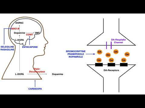 Video: Håndtering Af Din Parkinsons Medicin