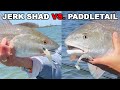 Paddletail vs. Jerkshad