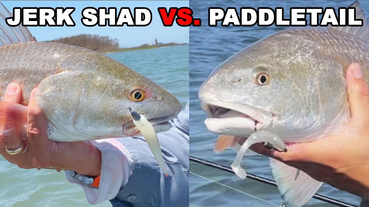 Paddletail vs. Jerk Shad (When To Use Each Lure)