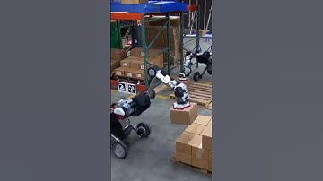 Unbelievable! Watch this Robot stacking boxes on a pallet at lightning speed! #short
