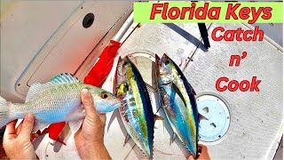 Black Fin Tuna and Mangrove Snapper Catch n Cook! by High Adventure Videos 43,796 views 8 months ago 26 minutes