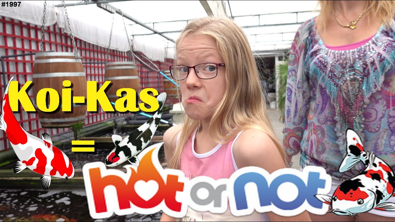 Op weg naar Koi-Kas. Wat voor KOIKARPERS verkopen ze hier? Is deze winkel HOT or NOT  
