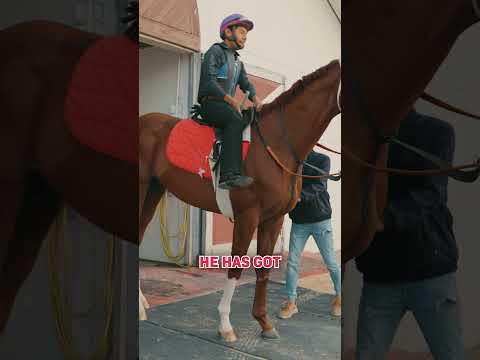 Kabirkhan Will Be Competitive In The Dubai World Cup!