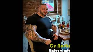 Cs Norbi - Malac Altató