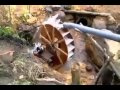 Free water free electricity just set up water turbine