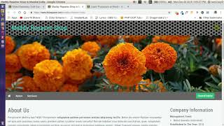 16. Service Images - Setting Up Services' MiniSite on IBizSquare [English]