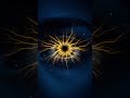 What is the Worldview Evaluation Protocol (WEP)? | Convergent Epistemology Explained