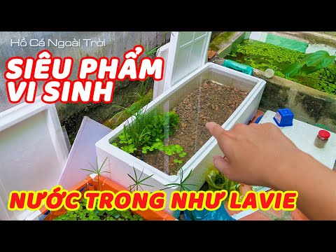 Video Bật mí Siêu Phẩm Vi Sinh Xử Lý Nước Cực Rẻ và Dễ Sử... - youtube