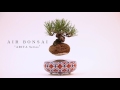 [Official] HOSHINCHU | AIR BONSAI -ARITA Series-