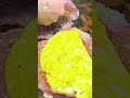 Неймовірний курячий рулет: красива страва для будь-якого столу #курячийрулет #рулет #закуски