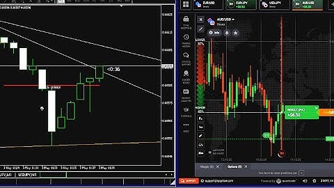Paid Indicator 2023 | 100% Non Reprint Indicator