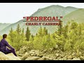 Pedregal - Charly Cabrera