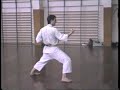 Uke waza kihon shotokan luis m sanz  karate luis mara sanz