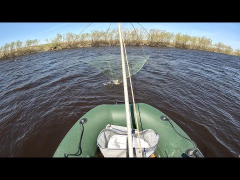 Видео: РЫБАЛКА НА ПАУК-ПОДЪЁМНИК ПОСЛЕ НЕРЕСТА... ИСКАЛ ЕГО ПОЛ ДНЯ,СМЕНИВ КУЧУ МЕСТ...