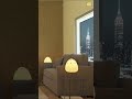 Student Renders Masterpiece: Check out Shamly Athi's Stunning Visualization!