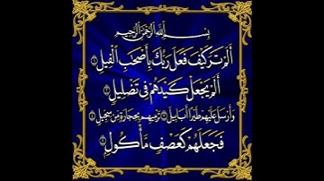 سورة  الفيل #اكسبلور #تيك_توك #لايك