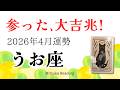 魚座4月は大吉兆！安心してネクストステージへ。見極めが大事です、マジで！2026年4月運勢【癒しのタロット個人鑑定級】