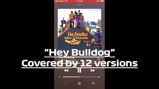 ♪ Hey Bulldog (Rare Covers)