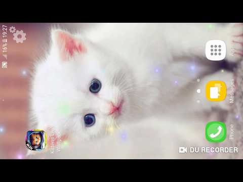 kittens-live-wallpaper