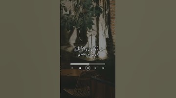 تلاوة للقارئ سعد الغامدي .