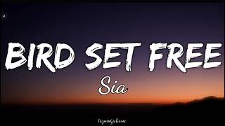 Sia – Bird Set Free (Lyrics)