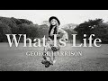 George Harrison - What Is Life (The Lady Shelters cover)