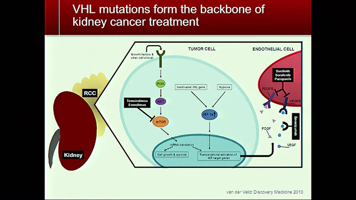 Genomic Testing in RCC Joshua Gruber, MD, Medlcal ...