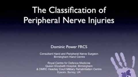 Current Concepts in BPI Part 2: The Classification of Peripheral Nerve Injury