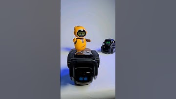 Three funny moments of  Eilik DQ and Vector robots you didn