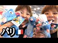 【フランス】パリの空港でレミーを発見！！即買いの巻。【はらぺこツインズ】【双子】