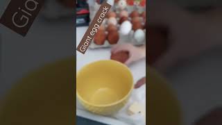 Giant Chicken Egg Crack