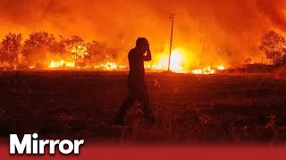 Greece wildfires: 18 charred bodies found in forest