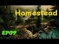 ...Homestead... Ep09 2026_5_14
