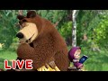 🔴 LIVE STREAM 🎬 Masha and the Bear 🐻👱‍♀️ Lessons at home 🏡📚