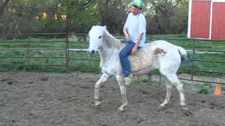 DSCF2416.AVI