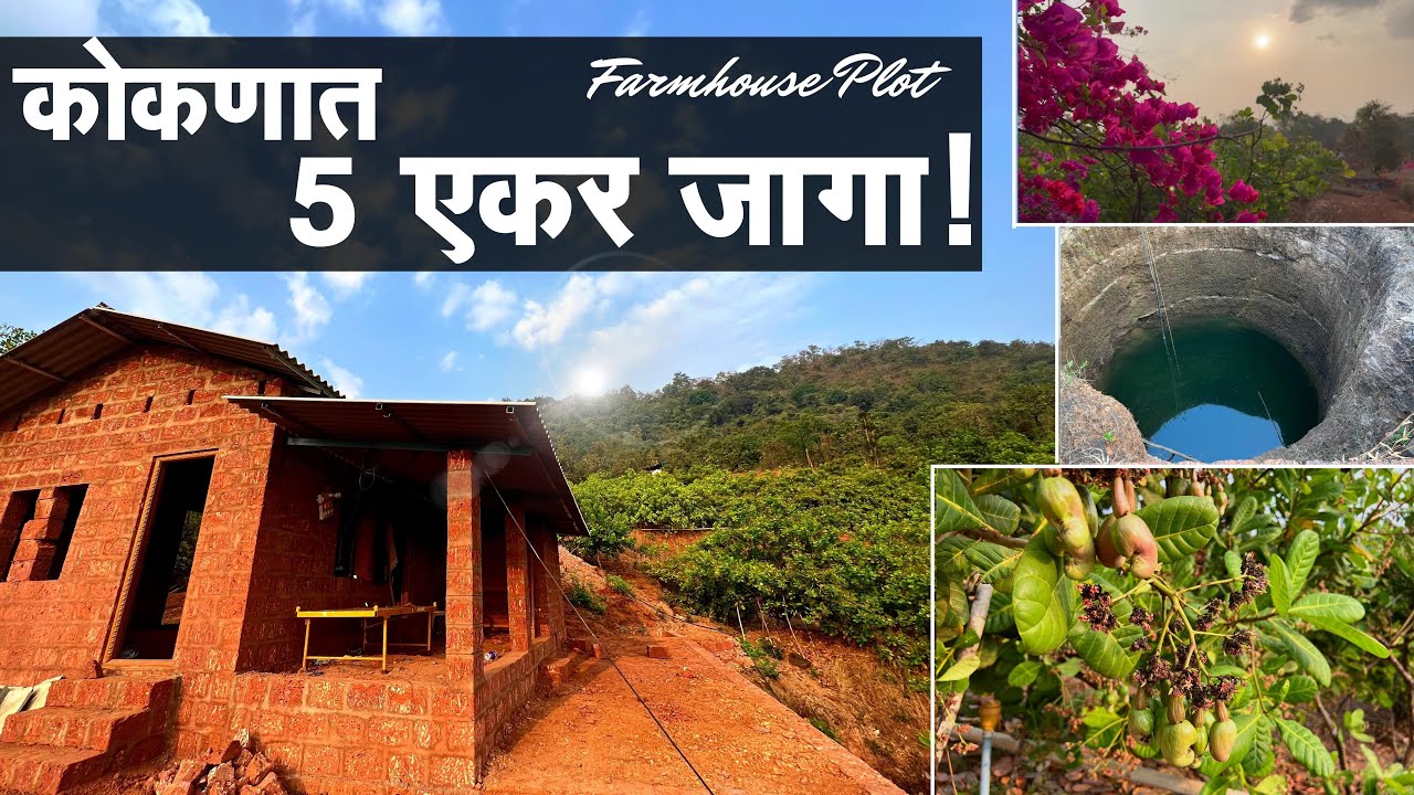 कोकणात 5 एकर फार्महाऊस प्लाॅट! | काजु  + आंबा ! | किंमत ?? | P154