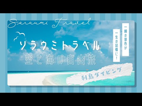 【水中世界】 利島 ダイビングで出会う海の神秘|SoraumiTravel