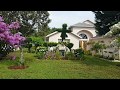 For Landscaping Ideas Backyard Florida