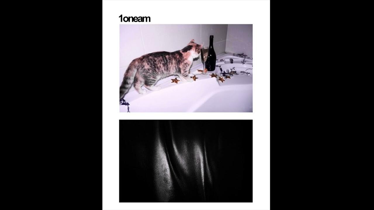 1oneam - Death of Me (Melodic Loop without any Hi-Hats)