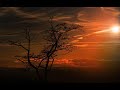 Música para dormir, naturaleza , anti stress/ Music to sleep, nature, anti stress