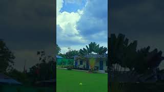 Enjoing In Bande 🌲 🌲 🌲